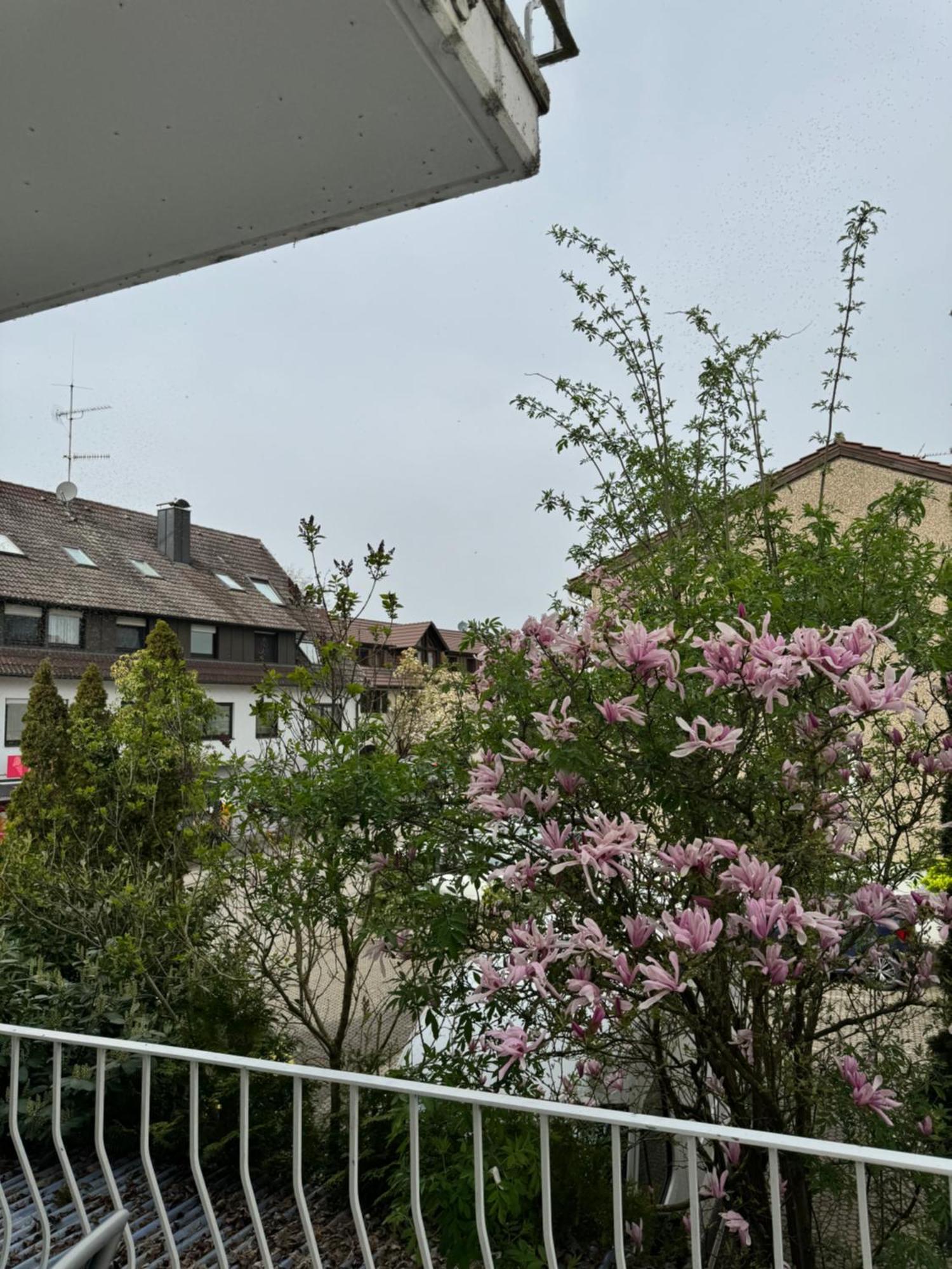 See-Hotel Seeschau - Direkt Am Bodenseeufer Reichenau Kültér fotó