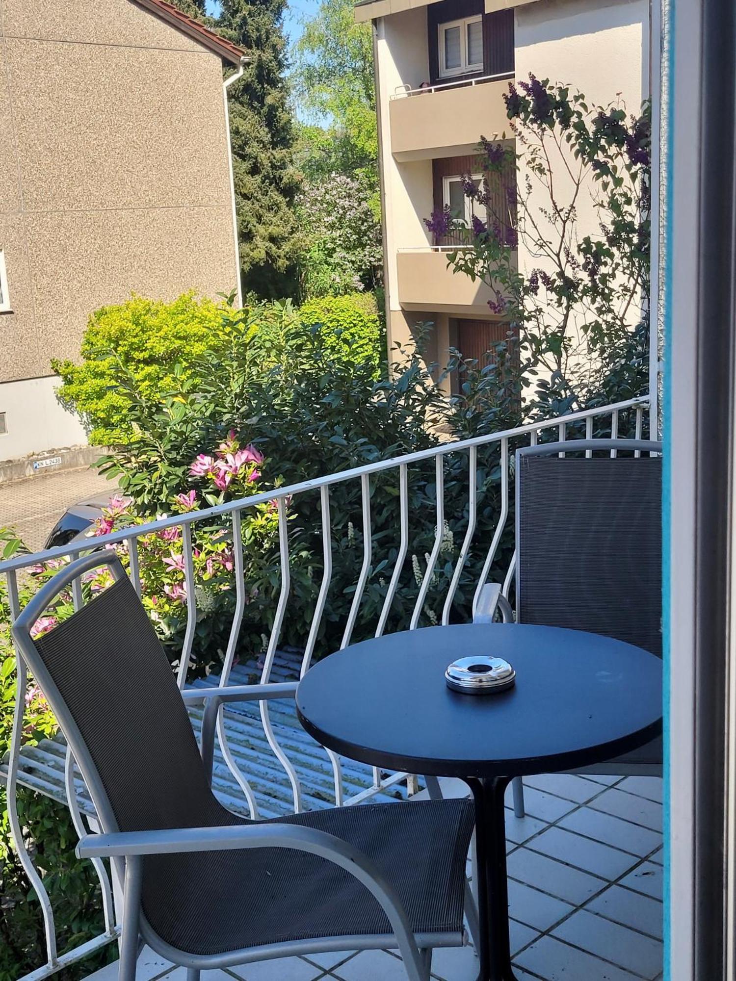 See-Hotel Seeschau - Direkt Am Bodenseeufer Reichenau Kültér fotó